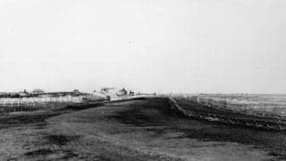 羽田空港にはかつて競馬場が その名はダート三冠・羽田盃の由来に