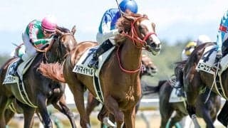 【フローラS予想オッズ】アドマイヤベルが予想1番人気