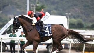 【マイラーズC予想オッズ】セリフォスが予想1番人気