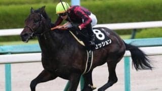 “セッションの法則”では好走間違いなし!? 相性抜群の鞍上とマイラーズC参戦