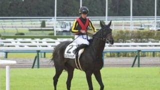 【フローラS展望】好走傾向にピッタリ当てはまるエルフストラックに注目