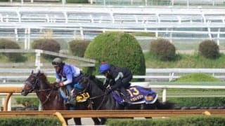ドゥレッツァ、天皇賞(春)1週前追い切り速報/栗東トレセンニュース