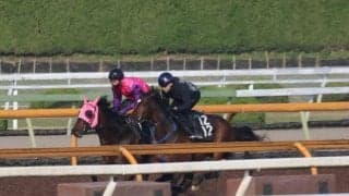 ラムジェット、ユニコーンS1週前追い切り速報/栗東トレセンニュース