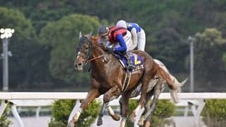 【高知・二十四万石賞】怒涛の12連勝！ユメノホノオが完勝…吉原「良い競馬でした」