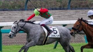 近親に重賞馬多数のゴールドシップ産駒 ビッグレッドファーム出身馬のフローラS連覇へ