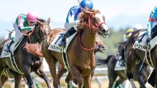 【フローラS予想】AIはちょっと意外な一頭推奨 格上挑戦ながらそれなりに支持も