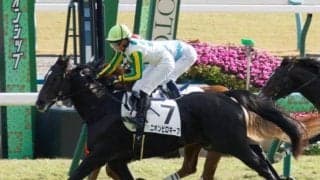 【マイラーズC展望】開幕週でスピード必須、若い馬に期待したい