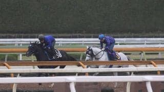 シルヴァーソニック、天皇賞(春)1週前追い切り速報/栗東トレセンニュース