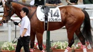 ウマ娘・藤田晋オーナーの3億円馬 地方からの再転入初戦でJRA初勝利めざす