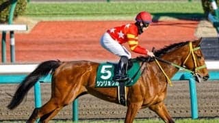 【福島牝馬S出走馬・騎手確定】シンリョクカ＆木幡初也騎手、コスタボニータ＆岩田望来騎手など16頭