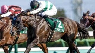 【マイラーズC出走馬・騎手確定】ソウルラッシュ＆松山弘平騎手、セリフォス＆川田将雅騎手など17頭