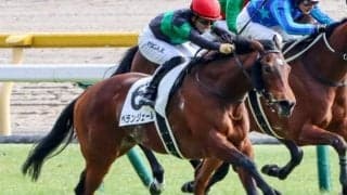 叔母にGI・2着馬、叔父に4.5億円馬 名牝モシーンの孫が待望の初勝利へ