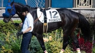 父アロゲート最後の大物か 米G1馬の全弟がデビュー2連勝狙う