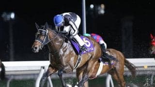 【門別・ネクストスター北日本結果】ストリームが重賞2勝目を挙げる