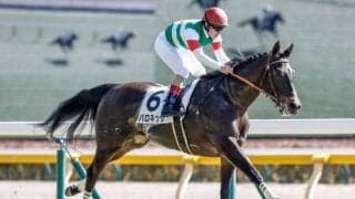 【フローラS枠順確定】バロネッサは1枠1番、アドマイヤベルは5枠8番