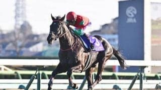 マイネルグロンが故障 右前深屈腱炎で9カ月以上の休養要す見込み