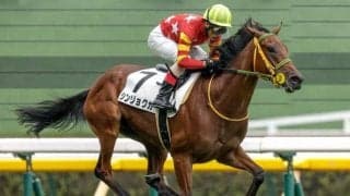 【福島牝馬S予想】フレッシュさよりもキャリア 高配の使者はレース経験豊富な馬にあり