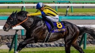 【NHKマイルC想定馬・騎手】ジャンタルマンタル、アスコリピチェーノなど27頭