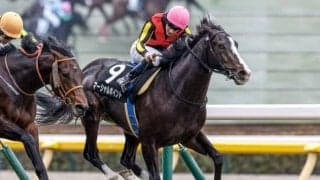 【青葉賞想定馬・騎手】マーシャルポイント、シュガークンなど18頭