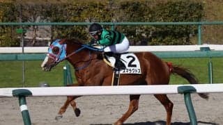 若手騎手競走に参加できる騎手の条件は？ 田口貫太騎手は負け知らず