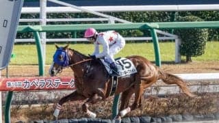 【ユニコーンS想定馬・騎手】ミッキーファイト、ラムジェットなど17頭