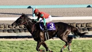 マイネルグロンが右前深屈腱炎で休養へ