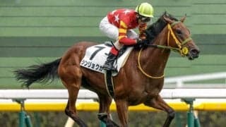 【今日の注目ポイント】福島牝馬Sと東西でダートのオープン競走