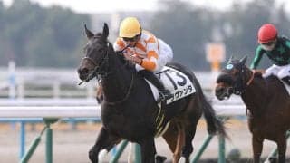 オークスのトライアル、ＧⅡフローラＳで注目の「血統のレベルが高い」２頭とは？