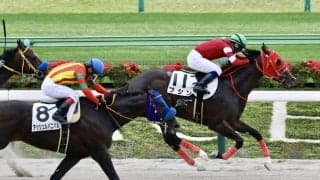 【東京6R】8番人気の伏兵ブシンがハナ差凌ぐ