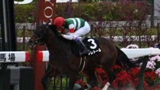 【天王山S結果】武豊騎手騎乗のジレトールが快勝