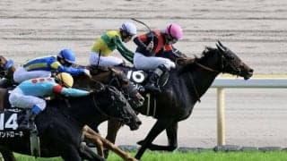 【湘南S】リュミエールノワルが3連勝でオープン入り