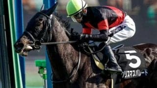 【フローラS予想】前走距離に着目 フラワーCを中心とした1800m組が優勢