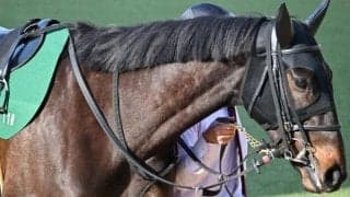 東京芝はペースが緩めば内＆前有利 エルフストラックで好配狙い