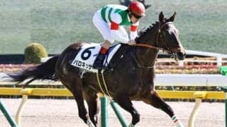 【フローラS前日オッズ】バロネッサが3.1倍で1番人気