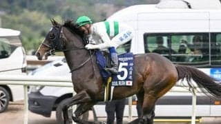 【マイラーズC前日オッズ】ソウルラッシュが2.6倍で1番人気