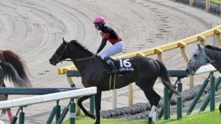 【湘南S】横山和「内から来たらもうひと伸びしてくれた」リュミエールノワルが3連勝