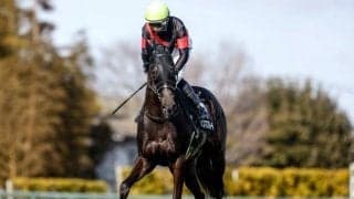 【今日の注目ポイント】東京でフローラSと京都でマイラーズC