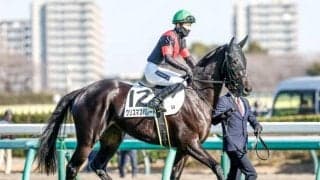 【フローラS予想】12頭/14頭が1勝馬で力比較難解 樫への直行切符をつかむのは