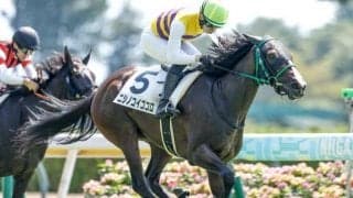 激荒れレースにも狙うパターンはある？ 過去データから狙うGIIフローラS