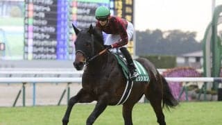 開幕週の鉄則が通用しないマイラーズＣ 穴党記者推奨の伏兵２頭が「２強」を脅かす!?