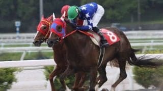 【高知・スピカ特別】ルピナステソーロが好位から抜け出す…澤田「作戦通り」