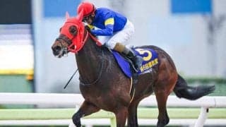 【大井・羽田盃枠順】今年からJpnIに格上げ 雲取賞覇者ブルーサンは8枠8番