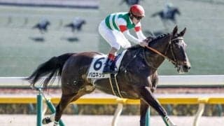 【フローラS・馬体重】バロネッサは508kg(+4)、アドマイヤベルは484kg(±0)