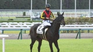 フローラS当日の東京芝は内＆前有利 エルフストラックに要注意