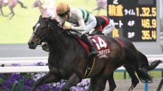 【マイラーズC結果】ソウルラッシュが突き抜け2度目のV