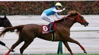 【フローラS】アドマイヤベルがオークスの権利獲得