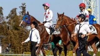 【ユニコーンS】ミッキーファイト、ラムジェットらが登録