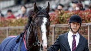 【青葉賞】マーシャルポイント、シュガークンらが登録