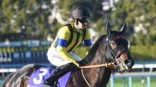 【NHKマイルC】ジャンタルマンタル、アスコリピチェーノらが登録