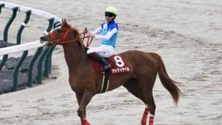 【フローラS】横山武「2400mでも問題ないと思う」アドマイヤベルがオークスの権利獲得